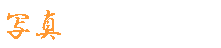 �ʐ^�f��